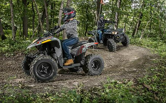 2023 Polaris Phoenix 200