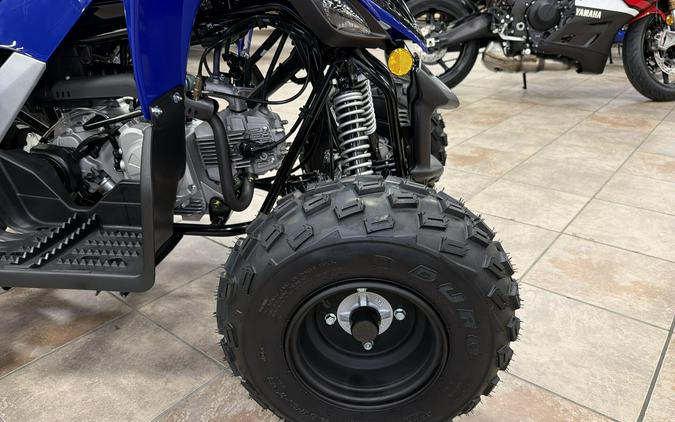 2026 Yamaha RAPTOR 110