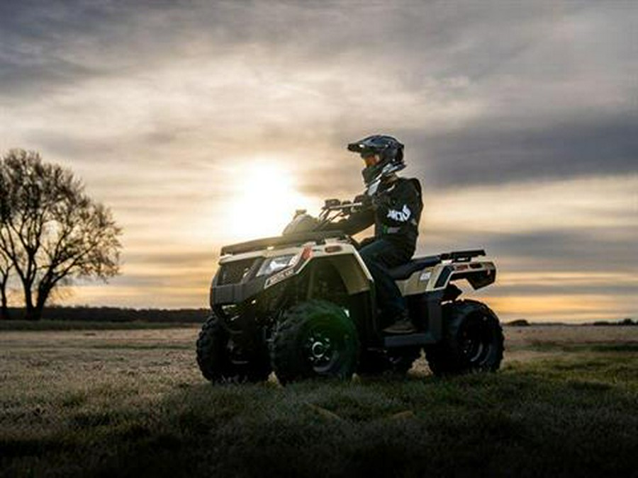 2022 Arctic Cat Alterra 300