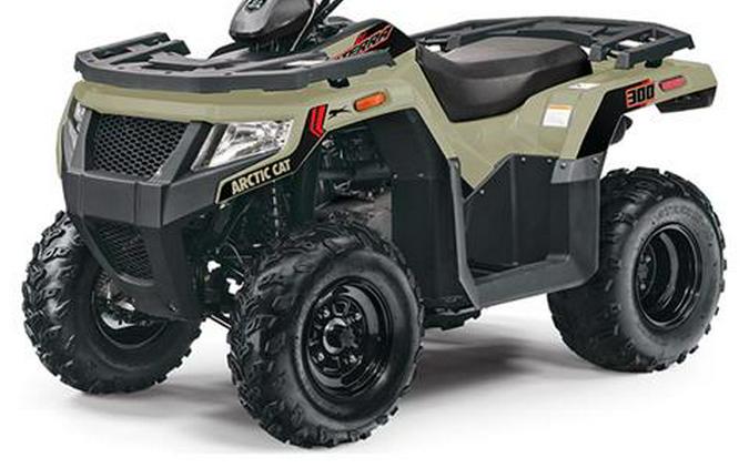 2022 Arctic Cat Alterra 300