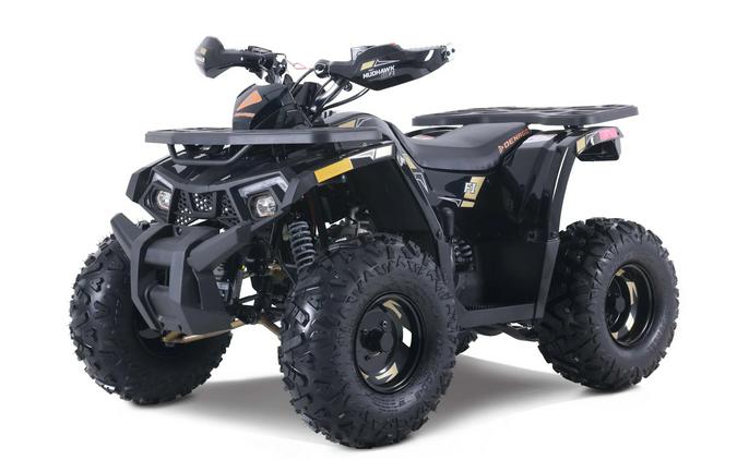 2026 Denago Powersports Mudhawk 10FI ATV Black - 110138