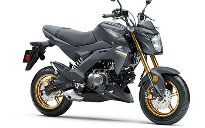 2024 Kawasaki Z125 Pro