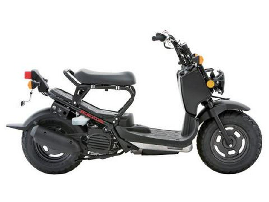 2013 Honda Ruckus®