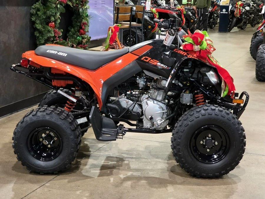 2026 Can-Am DS 250