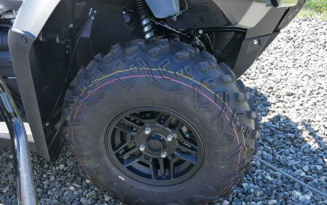 2026 Honda FourTrax Rubicon 700 4X4 Automatic Matte Silver