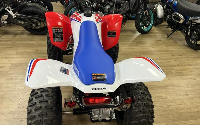2026 Honda TRX 250X