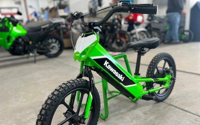 2023 Kawasaki ELEKTRODE