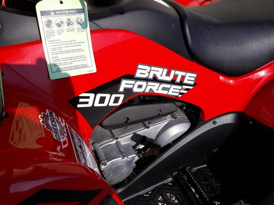 2024 Kawasaki Brute Force® 300