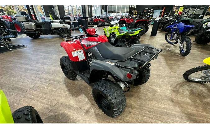 2025 Yamaha GRIZZLY 110 EFI