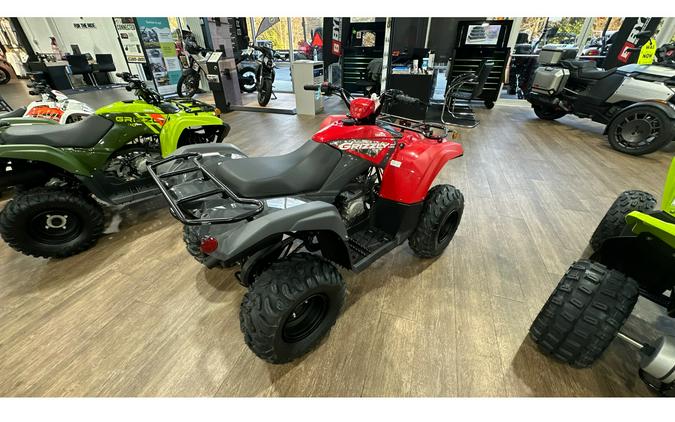 2025 Yamaha GRIZZLY 110 EFI