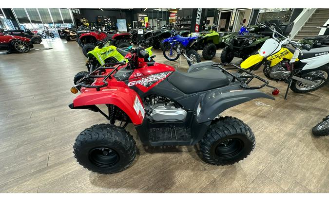 2025 Yamaha GRIZZLY 110 EFI