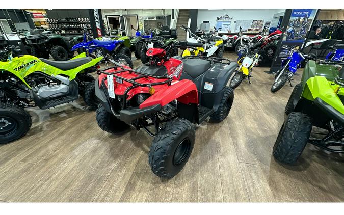2025 Yamaha GRIZZLY 110 EFI