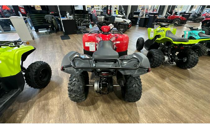 2025 Yamaha GRIZZLY 110 EFI