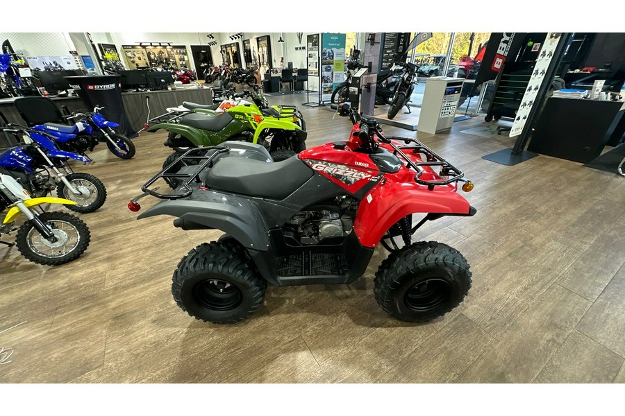 2025 Yamaha GRIZZLY 110 EFI