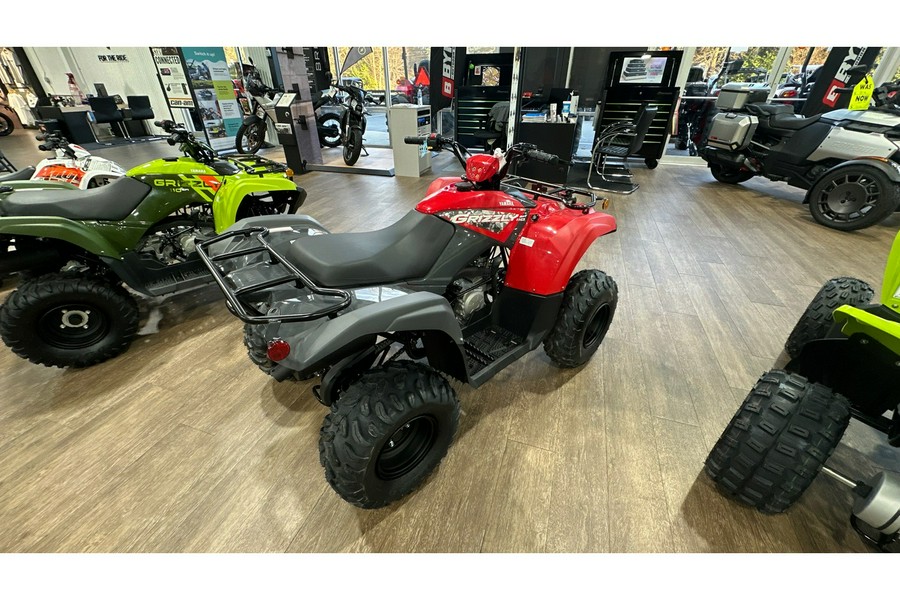 2025 Yamaha GRIZZLY 110 EFI