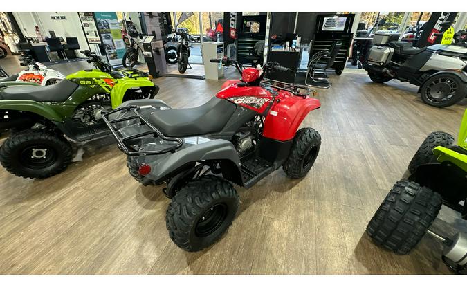 2025 Yamaha GRIZZLY 110 EFI