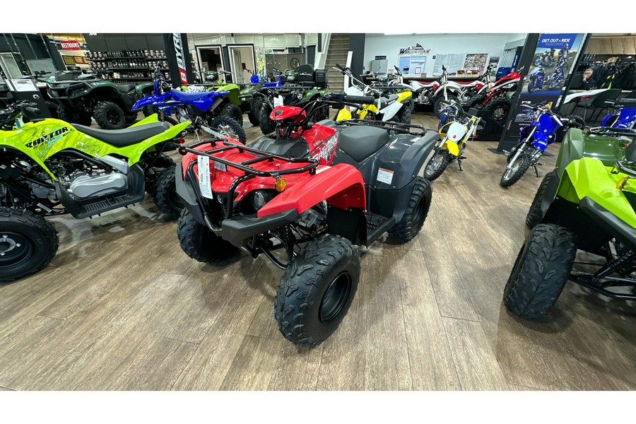 2025 Yamaha GRIZZLY 110 EFI