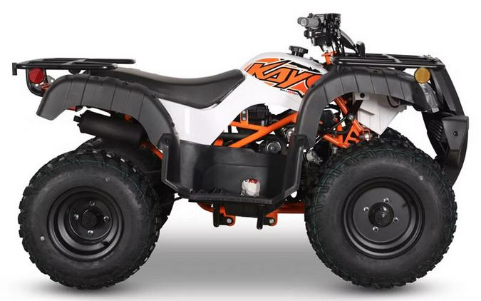 2026 Kayo Bull 150 EFI