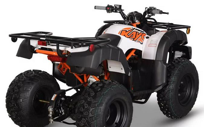 2026 Kayo Bull 150 EFI