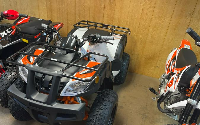 2026 Kayo Bull 150 EFI