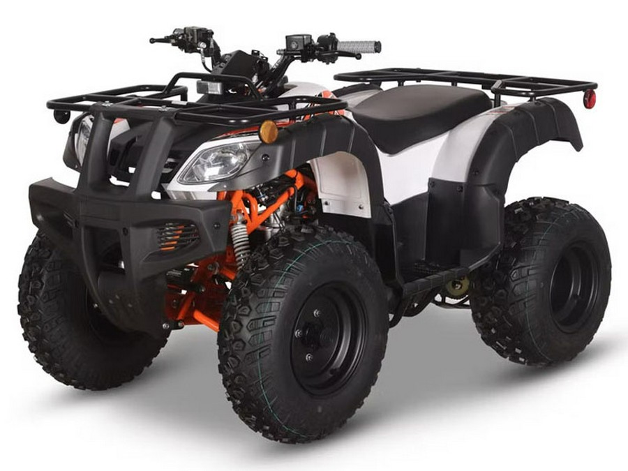 2026 Kayo Bull 150 EFI