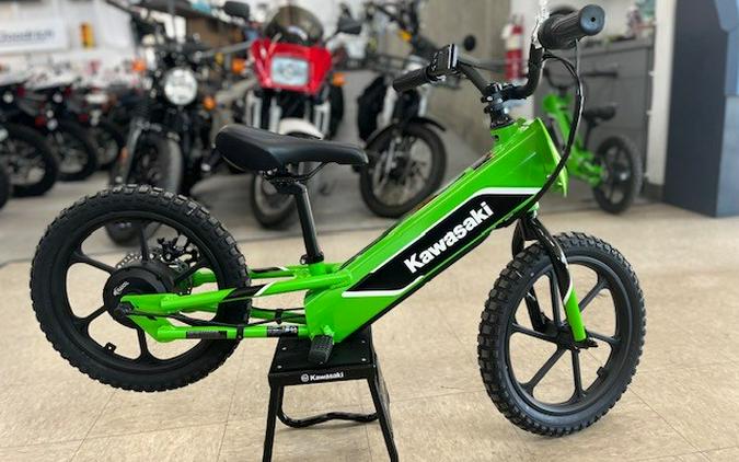 2023 Kawasaki ELEKTRODE