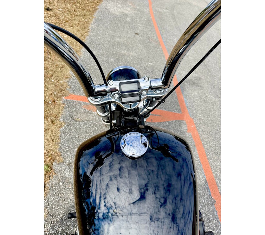 2020 Harley-Davidson® FXST Softail Standard®