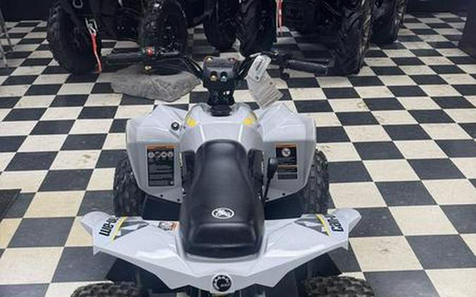 2025 Can-Am® Renegade 110 EFI