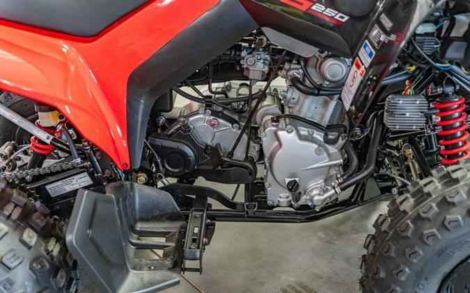 2026 Can-Am DS 250