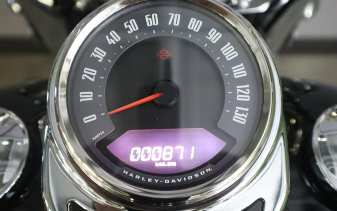 2021 Harley-Davidson Heritage Classic 107