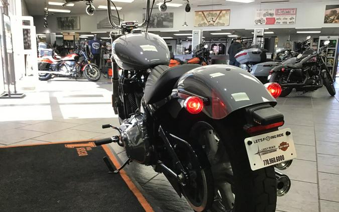 2024 Harley-Davidson® Softail® Standard Billiard Gray