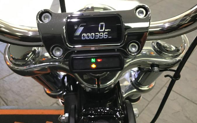 2024 Harley-Davidson® Softail® Standard Billiard Gray