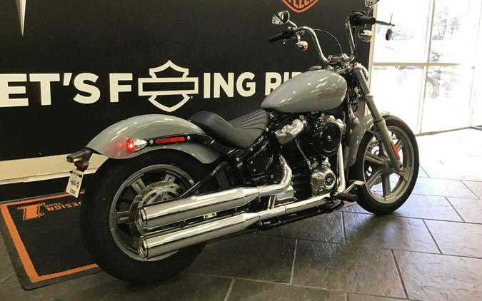 2024 Harley-Davidson® Softail® Standard Billiard Gray