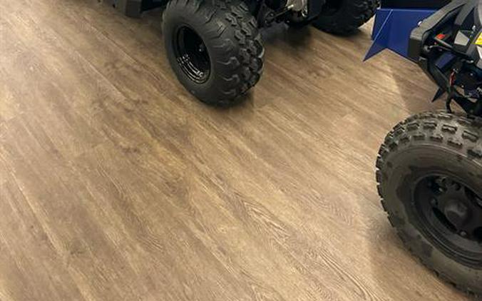 2023 Polaris Ranger 150 EFI