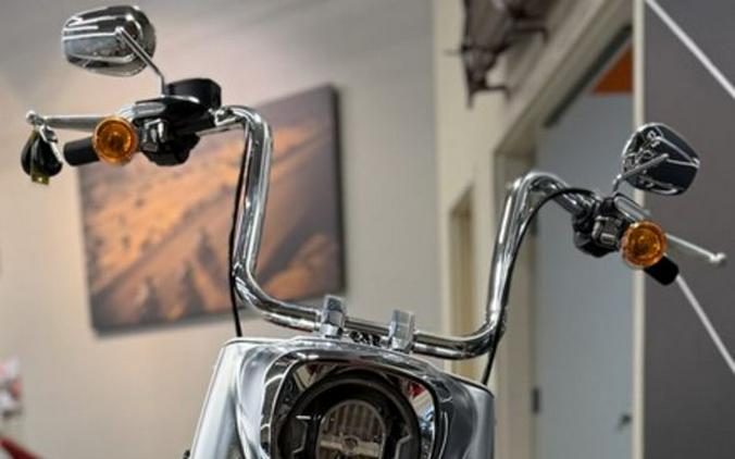 2019 Harley-Davidson® FLFBS - Fat Boy® 114