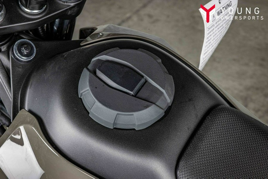 2026 Kawasaki KLX230 DF ABS