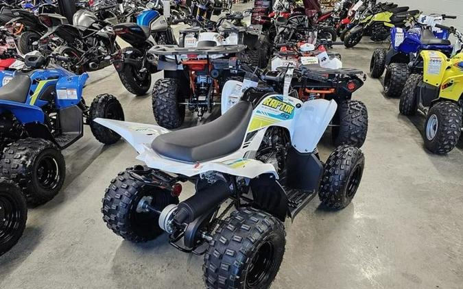 2023 Yamaha Raptor 90