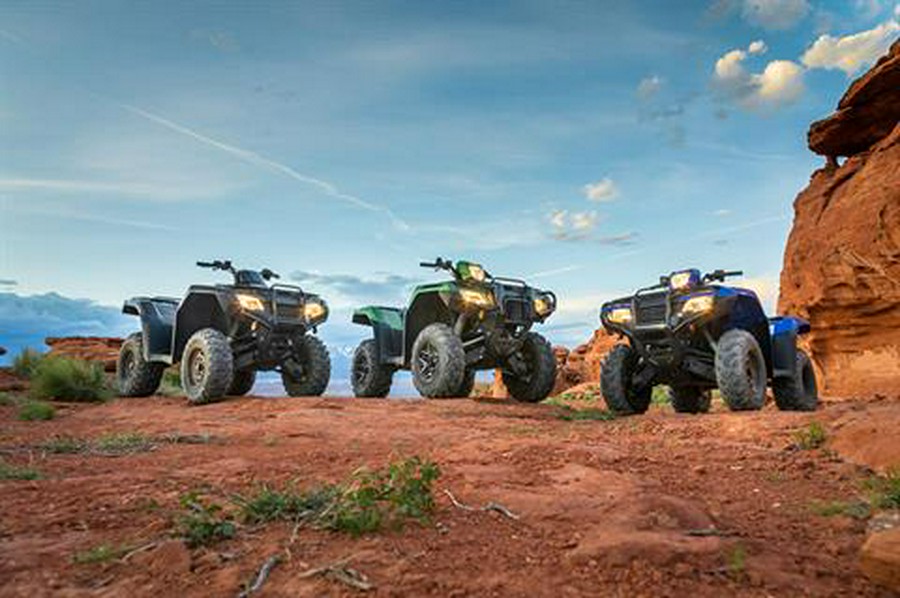 2020 Honda FourTrax Foreman Rubicon 4x4 Automatic DCT EPS Deluxe