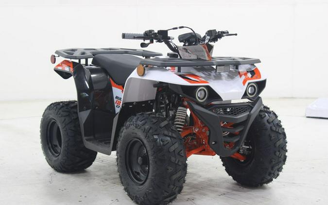 2026 Kayo Bull 125 EFI