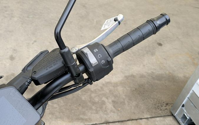 2025 Kawasaki Z900 ABS