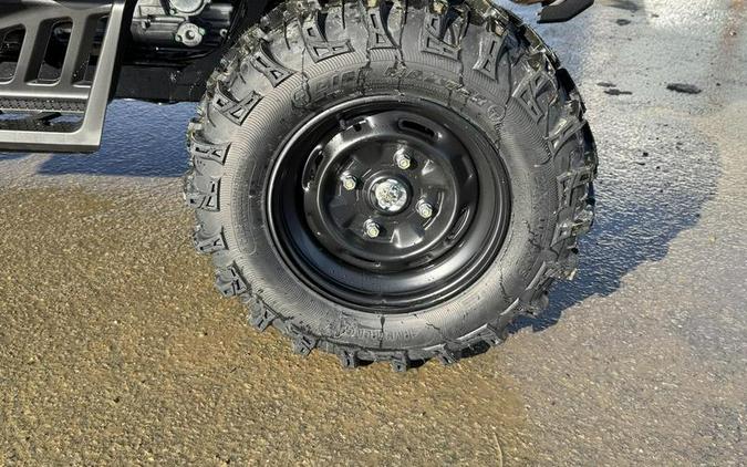 2025 Honda® Pioneer 1000