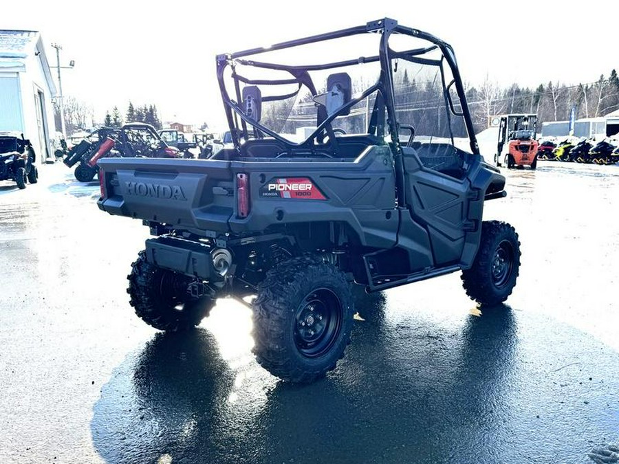 2025 Honda® Pioneer 1000