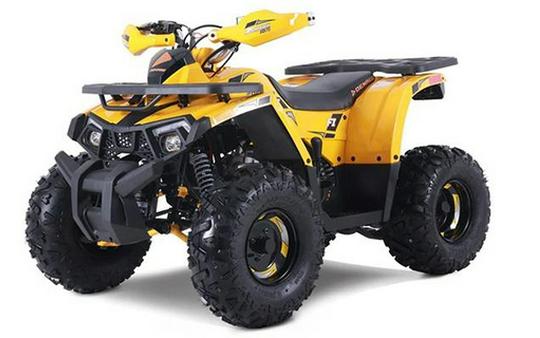 2026 Denago Powersports Mudhawk 10FI