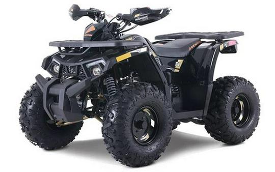 2026 Denago Powersports Mudhawk 10FI