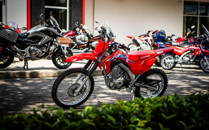 2024 Honda® CRF125F Big Wheel