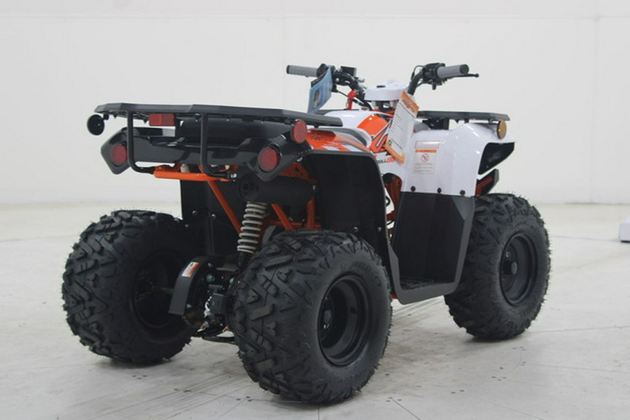 2026 Kayo Bull 110