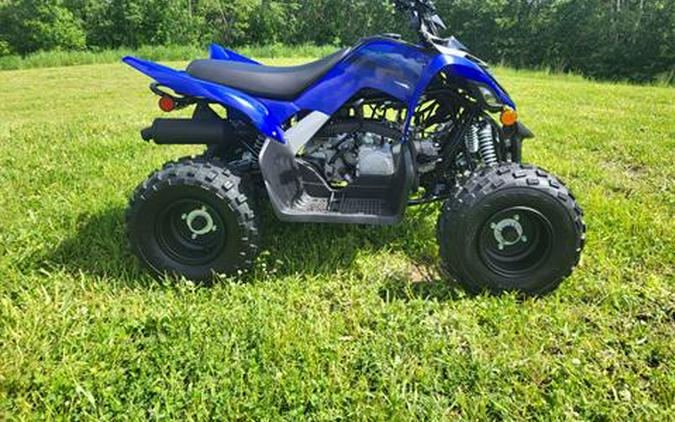 2024 Yamaha Raptor 110