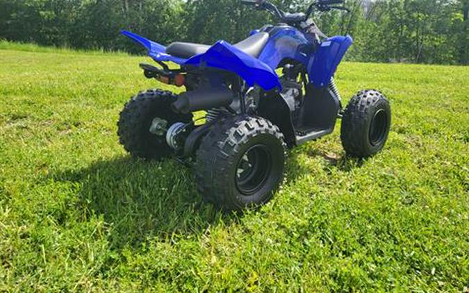 2024 Yamaha Raptor 110