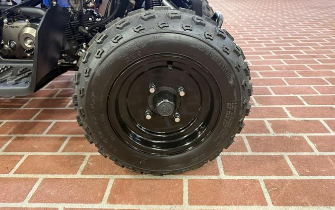 2024 CFMOTO CFORCE 110