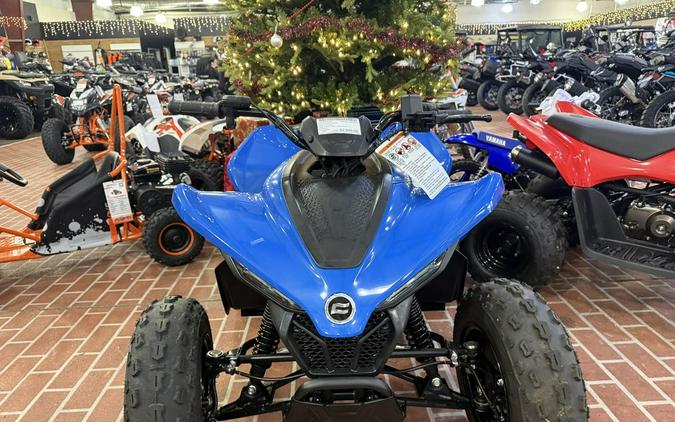 2024 CFMOTO CFORCE 110